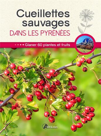 Couverture du livre « Cueillettes sauvages dans les Pyrénées » de  aux éditions Artemis