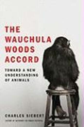 Couverture du livre « The Wauchula Woods Accord » de Siebert Charles aux éditions Scribner