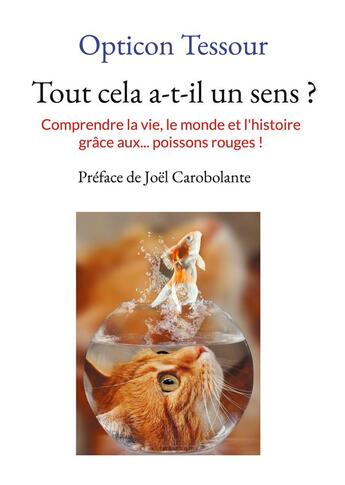 Couverture du livre « Tout cela a-t-il un sens ? : comprendre la vie, le monde et l'histoire grÃ¢ce aux... poissons rouges ! » de Tessour Opticon aux éditions Books On Demand