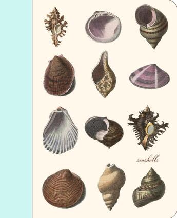 Couverture du livre « Seashells » de  aux éditions Potter Style