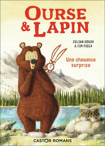 Couverture du livre « Ourse & lapin Tome 3 : une chouette surprise » de Jim Field et Julian Gough aux éditions Pere Castor