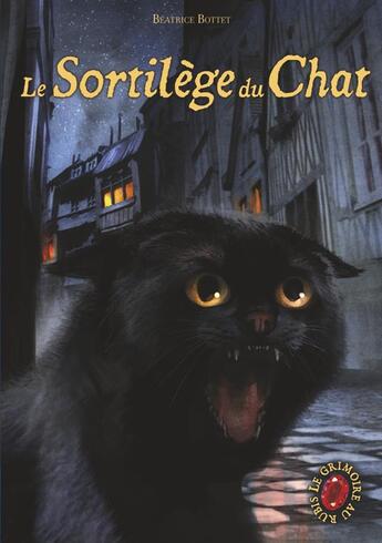 Couverture du livre « Le grimoire au rubis t.2 ; le sortilège du chat » de Beatrice Bottet aux éditions Casterman