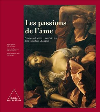 Couverture du livre « Les passions de l'âme » de Jean-Pierre Changeux aux éditions Odile Jacob