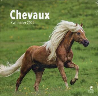 Couverture du livre « Chevaux : calendrier (édition 2022) » de  aux éditions Place Des Victoires