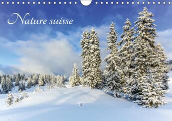 Couverture du livre « Nature suisse calendrier mural 2018 din a4 horizontal - les paysages de suisse un plai » de Duvernay E aux éditions Calvendo