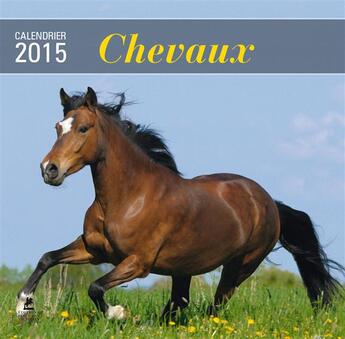 Couverture du livre « Calendrier chevaux 2015 » de  aux éditions Place Des Victoires