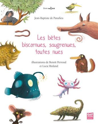 Couverture du livre « Les bêtes biscornues, saugrenues, toutes nues » de Jean-Baptiste De Panafieu et Lucie Rioland et Benoit Perroud aux éditions Gulf Stream