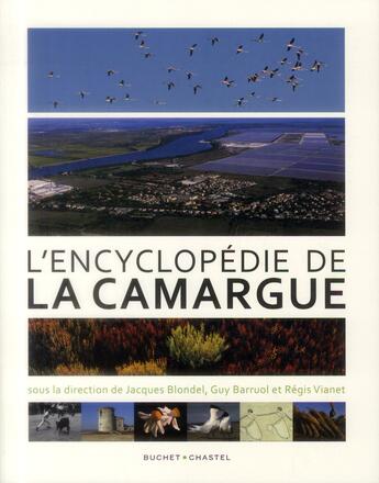 Couverture du livre « L'encyclopédie de la Camargue » de  aux éditions Buchet Chastel