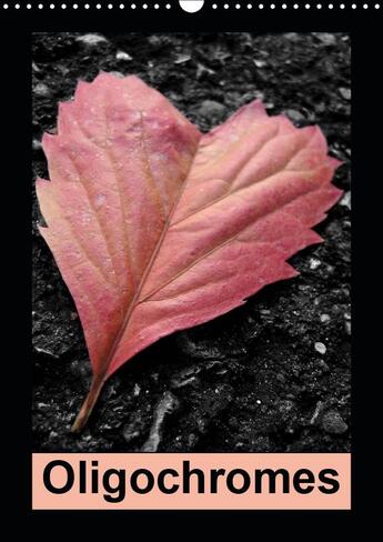 Couverture du livre « Quand le noir et blanc rencont » de Desvignes Benoi aux éditions Calvendo