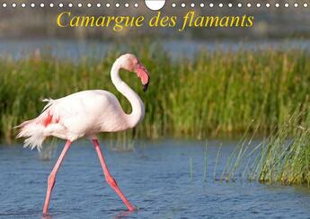 Couverture du livre « La camargue ses flamants et se » de Henry Ausloos aux éditions Calvendo