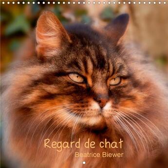 Couverture du livre « Regard de chat calendrier mural 2020 300 300 mm square - toute l intensite du regard d » de Beatrice Biewer aux éditions Calvendo