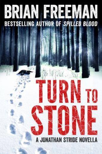 Couverture du livre « Turn to Stone » de Brian Freeman aux éditions Quercus Publishing Digital