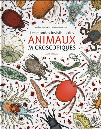 Couverture du livre « Les mondes invisibles des animaux microscopiques » de Damien Laverdunt et Helene Rajcak aux éditions Actes Sud Junior