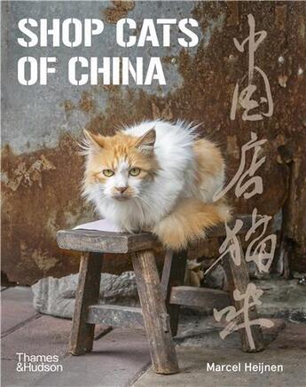 Couverture du livre « Shop cats of China » de Heijnen Marcel aux éditions Thames & Hudson