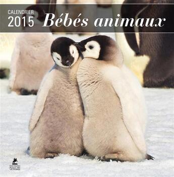 Couverture du livre « Calendrier bébés animaux 2015 » de  aux éditions Place Des Victoires