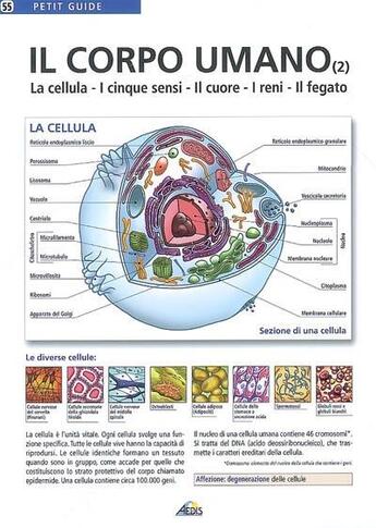 Couverture du livre « Il corpo umano t.2 » de  aux éditions Aedis