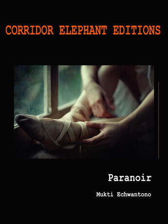 Couverture du livre « Paranoir » de Mukti Echwantono aux éditions Corridor Elephant