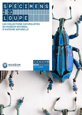 Couverture du livre « Spécimens à la loupe ; les collections naturalistes du Muséum national d'histoire naturelle » de Jean-Marc Merriaux et Samuel Baluret et Jeanne Morcellet et Laurent Palka et Andre Nel et Michel Guiraud et Claire Villemant aux éditions Reseau Canope