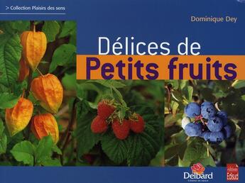 Couverture du livre « Délices de petits fruits » de Dominique Dey aux éditions Edisud