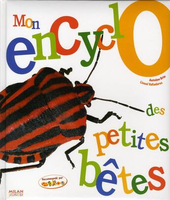 Couverture du livre « Mon encyclo des petites bêtes » de Brin-A+Valladares-L aux éditions Milan