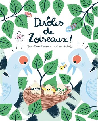 Couverture du livre « Drôles de zoiseaux » de Laure Du Fay et Jean-Pierre Raveneau aux éditions Amaterra