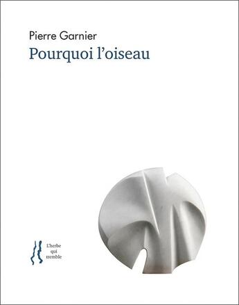 Couverture du livre « Pourquoi l'oiseau : anthologie d'articles et de poèmes » de Pierre Garnier aux éditions L'herbe Qui Tremble