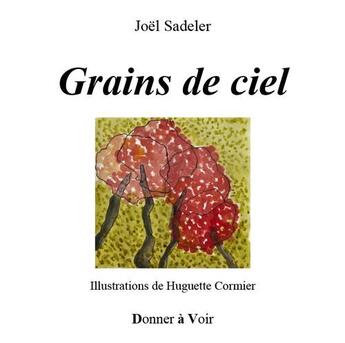 Couverture du livre « Grains de ciel » de Joel Sadeler aux éditions Donner A Voir