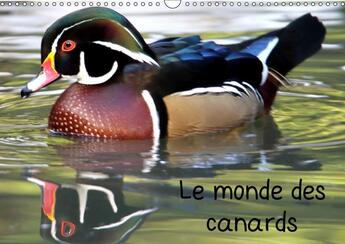 Couverture du livre « A la decouverte des canards du » de Patrick Casaert aux éditions Calvendo