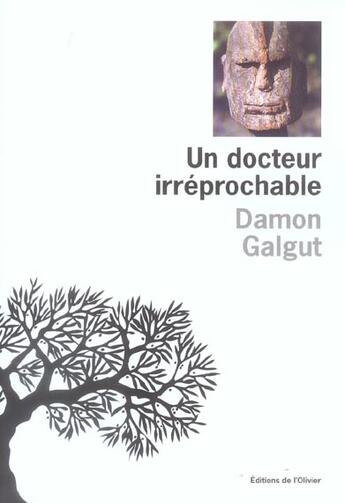 Couverture du livre « Un docteur irreprochable » de Damon Galgut aux éditions Editions De L'olivier