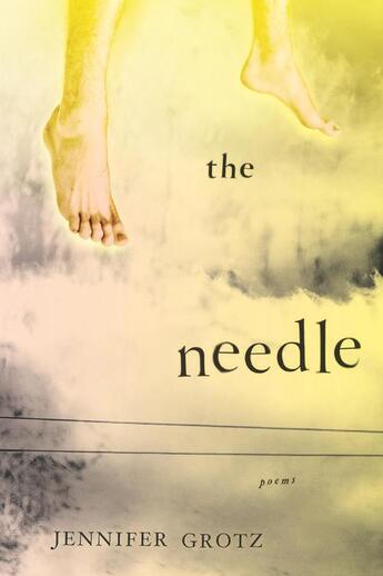 Couverture du livre « The Needle » de Grotz Jennifer aux éditions Houghton Mifflin Harcourt