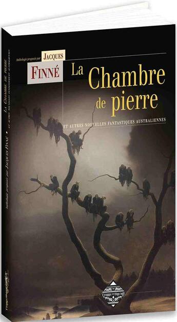 Couverture du livre « La chambre de pierre » de Jacques Finne aux éditions Terre De Brume