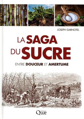 Couverture du livre « La saga du sucre ; entre douceur et amertume » de Joseph Garnotel aux éditions Quae