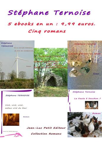 Couverture du livre « 5 ebooks en un : 9,99 euros. Cinq romans » de Stephane Ternoise aux éditions Jean-luc Petit Editions