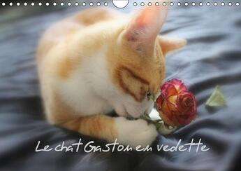 Couverture du livre « Le chat gaston en vedette calendrier mural 2018 din a4 horiz - photos inedites de gaston le c » de Brillard T aux éditions Calvendo