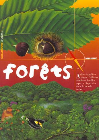 Couverture du livre « Forets » de Pointereau Philippe aux éditions Gallimard-jeunesse