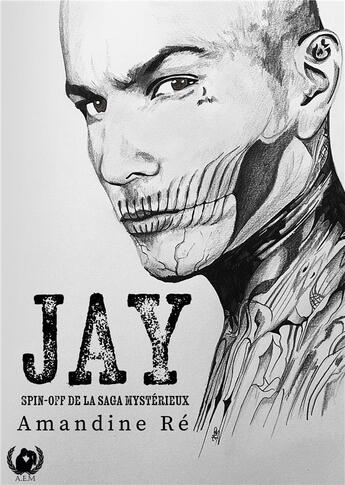 Couverture du livre « Jay : Spin off de la saga Mystérieux » de Re Amandine aux éditions Art En Mots