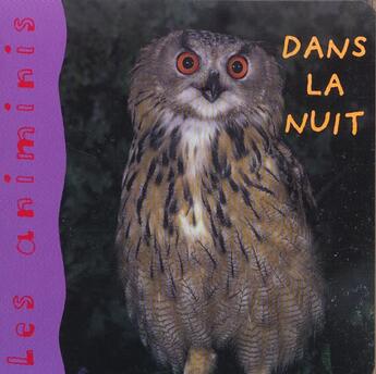 Couverture du livre « Dans la nuit » de De Lambilly E. aux éditions Mango