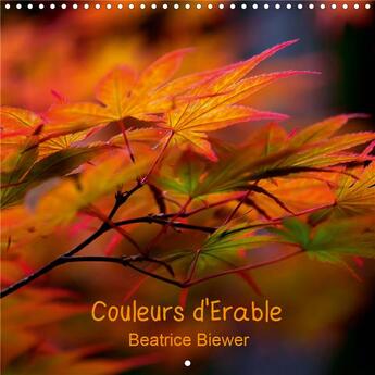 Couverture du livre « Couleurs d erable calendrier mural 2020 300 300 mm square - les formes graciles et les cou » de Beatrice Biewer aux éditions Calvendo