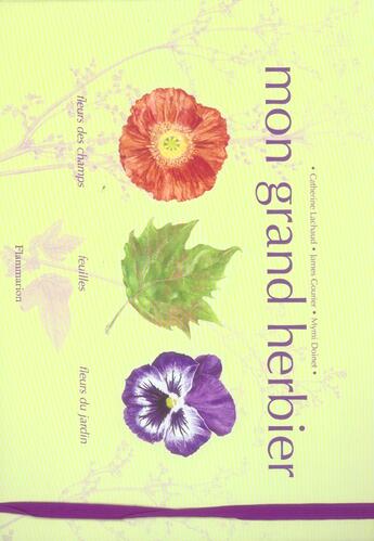 Couverture du livre « Mon grand herbier - fleurs des champs, feuilles, fleurs du jardin » de James Gourier aux éditions Pere Castor