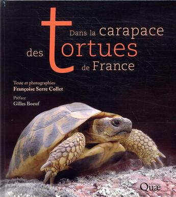 Couverture du livre « Dans la carapace des tortues de France » de Francoise Serre-Collet aux éditions Quae