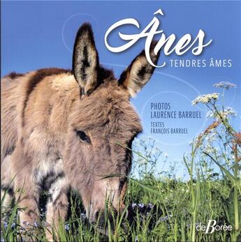 Couverture du livre « Ânes : tendres âmes » de Laurence Barruel et Francois Barruel aux éditions De Boree