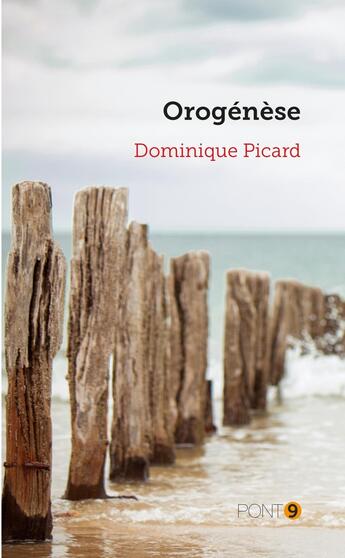 Couverture du livre « Orogénèse » de Dominique Picard aux éditions Au Pont 9