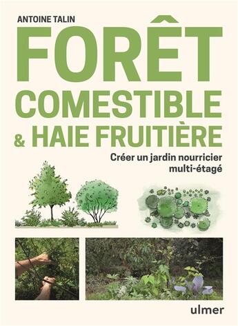 Couverture du livre « Forêt comestible et haie fruitière » de Antoine Talin aux éditions Eugen Ulmer