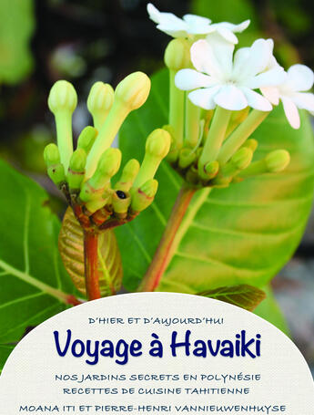 Couverture du livre « Voyage à Havaiki » de Pierre-Henri Vannieuwenhuyse aux éditions Vannieuwenhuyse Pierre-henri