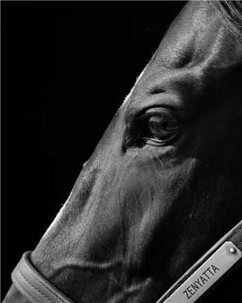 Couverture du livre « Neil latham american thoroughbred » de Latham Neil aux éditions Twin Palms