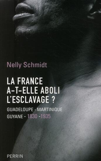 Couverture du livre « La France a-t-elle aboli l'esclavage ? ; Guadeloupe, Martinique, Guyane 1830-1935 » de Nelly Schmidt aux éditions Perrin