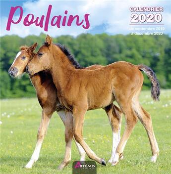 Couverture du livre « Calendrier poulains (2020) » de  aux éditions Artemis