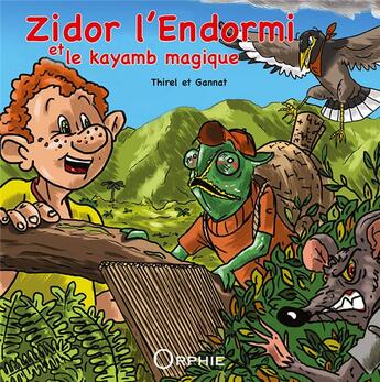 Couverture du livre « Zidor l'endormi et le kayamb magique » de Sebastien Gannat et Sabine Thirel aux éditions Orphie