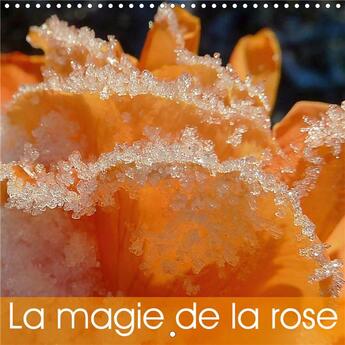 Couverture du livre « La magie de la rose calendrier mural 2020 300 300 mm square - de magnifiques roses lumineuse » de Vogl Beate aux éditions Calvendo