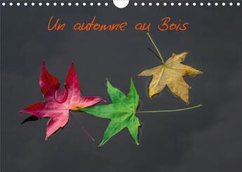 Couverture du livre « Un automne au Bois (Calendrier mural 2020 DIN A4 horizontal) ; Un automne dans le Bois de Boulogne. (Calendrier mensuel, 14 Pages ) » de Paulo C. Neves aux éditions Calvendo